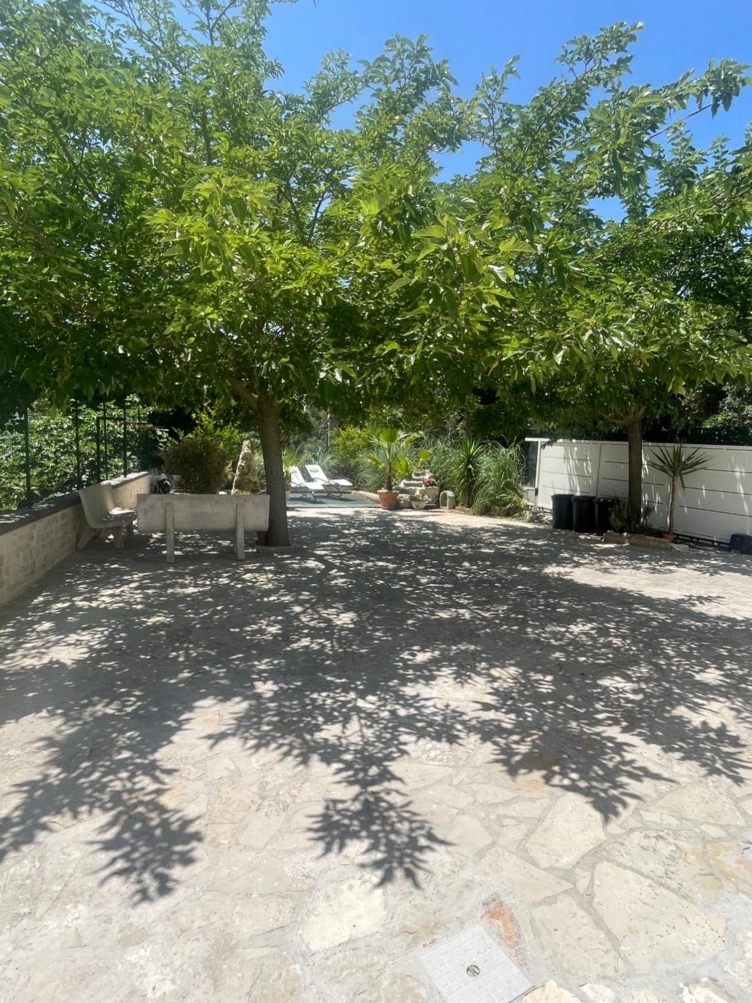 Villa Romina Selva Di Fasano Extérieur photo